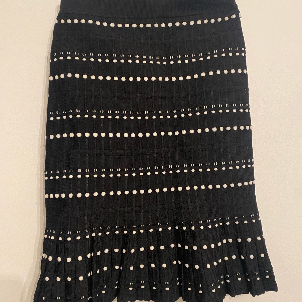 This is a black and white skirt, size XS for women and the brand is etcetera